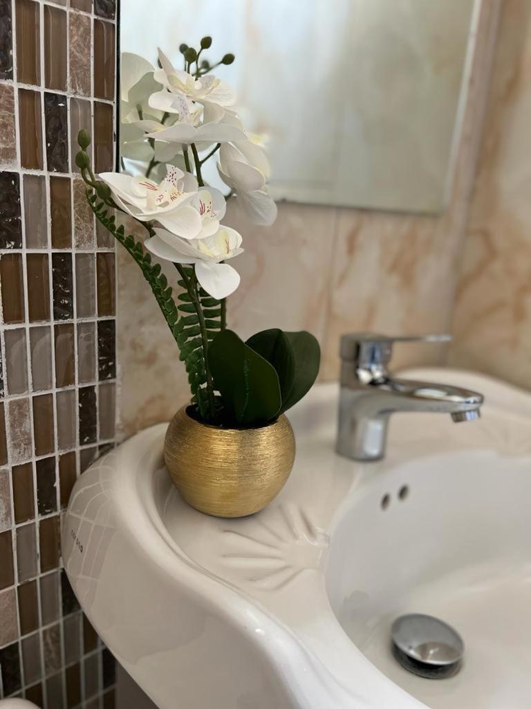 Metcalfe Luxury One Bedroom Suite Kingston Extérieur photo