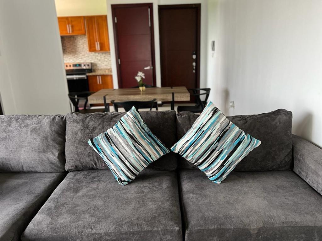 Metcalfe Luxury One Bedroom Suite Kingston Extérieur photo